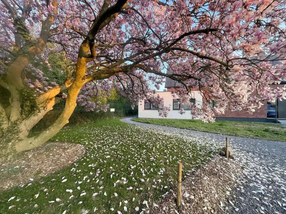 Entrée Cabinet Dentisart 